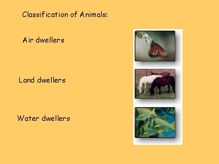 Classification of Animals: Air dwellers Land dwellers Water dwellers 