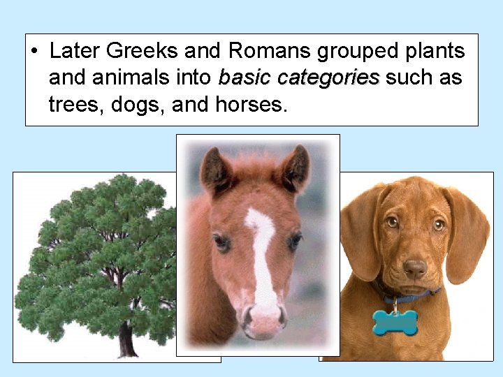  • Later Greeks and Romans grouped plants and animals into basic categories such