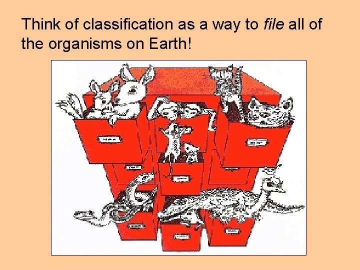 Think of classification as a way to file all of the organisms on Earth!