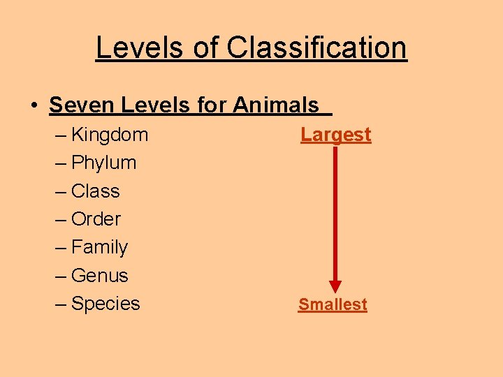 Levels of Classification • Seven Levels for Animals – Kingdom – Phylum – Class