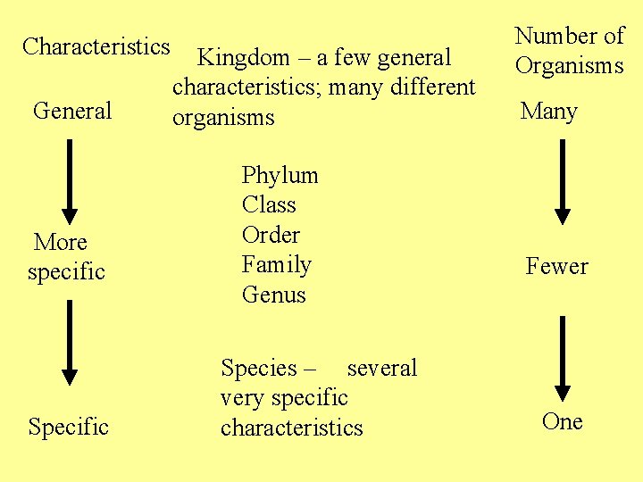 Characteristics General More specific Specific Kingdom – a few general characteristics; many different organisms