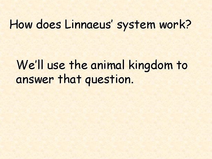 How does Linnaeus’ system work? We’ll use the animal kingdom to answer that question.