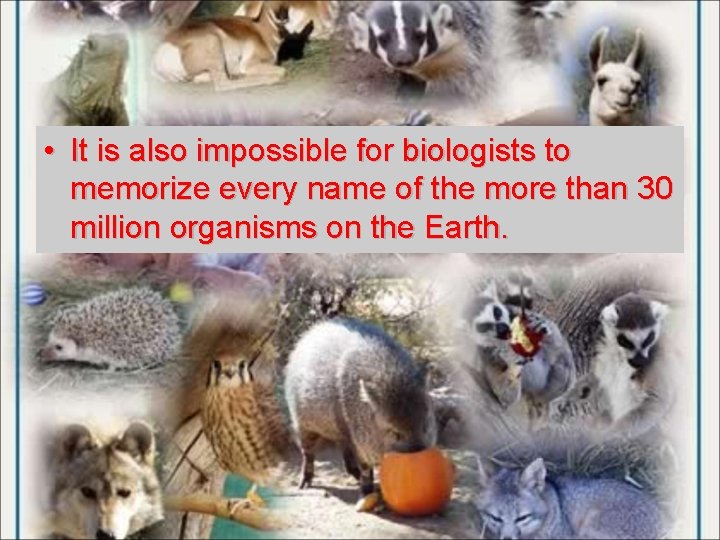  • It is also impossible for biologists to memorize every name of the