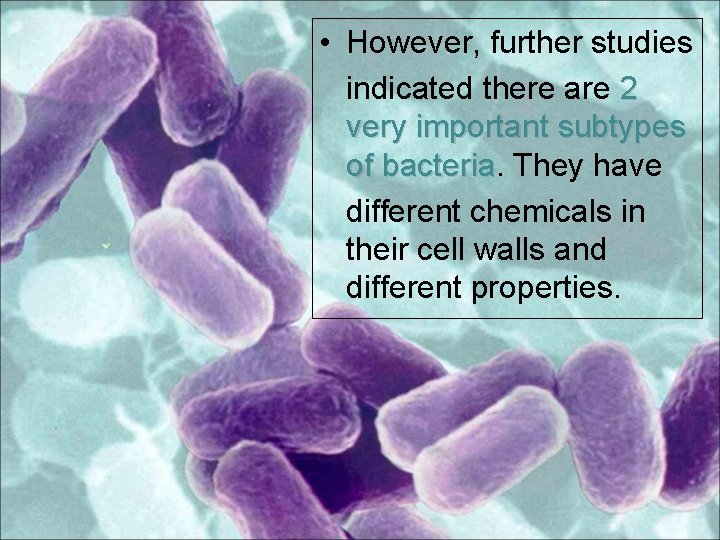  • However, further studies indicated there are 2 very important subtypes of bacteria