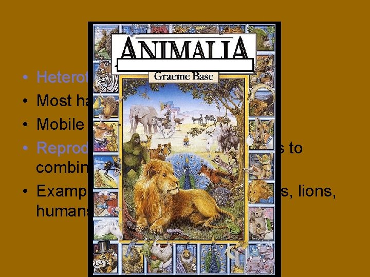 Kingdom Animalia • • Heterotrophic Most have symmetrical bodies Mobile in their environment Reproduce