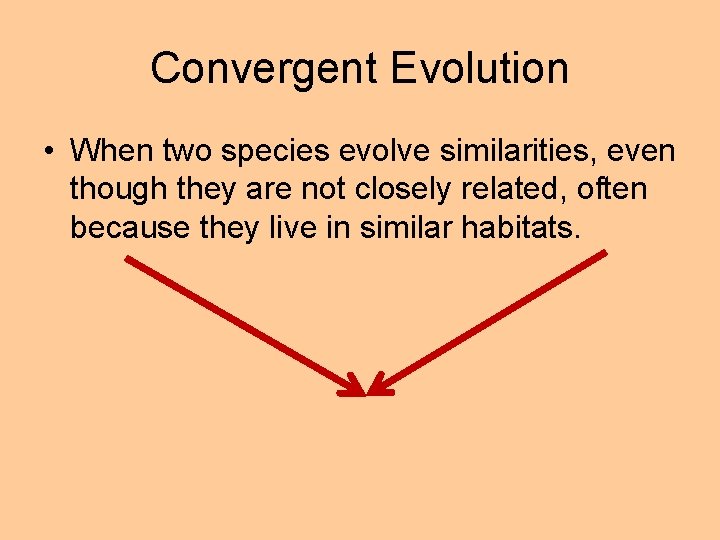 Convergent Evolution • When two species evolve similarities, even though they are not closely