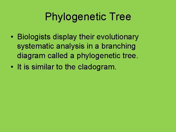 Phylogenetic Tree • Biologists display their evolutionary systematic analysis in a branching diagram called