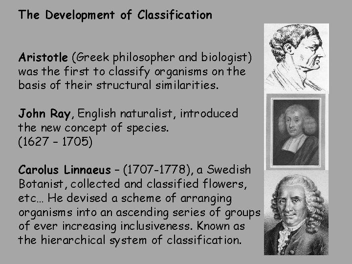 The Development of Classification Aristotle (Greek philosopher and biologist) was the first to classify