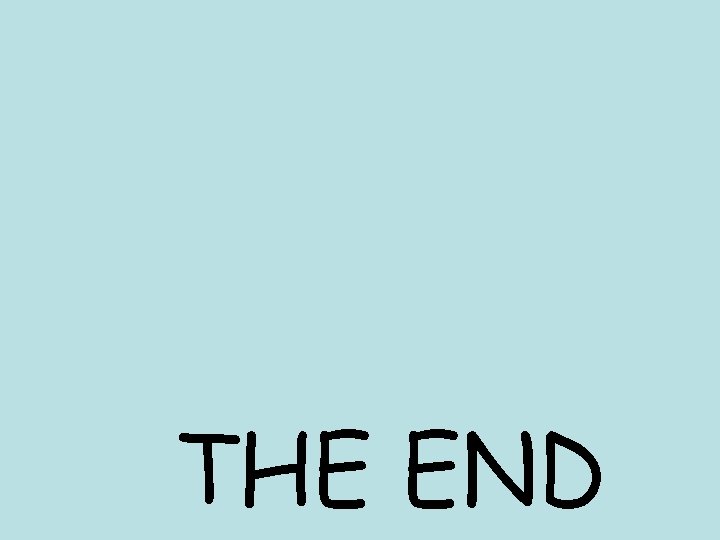 THE END 