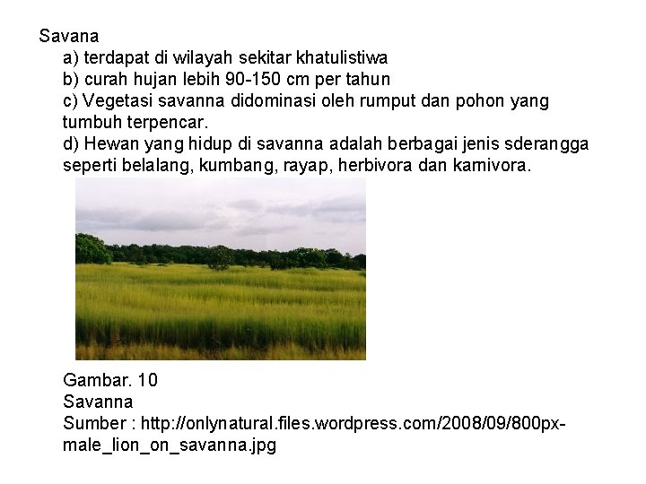 Savana a) terdapat di wilayah sekitar khatulistiwa b) curah hujan lebih 90 -150 cm