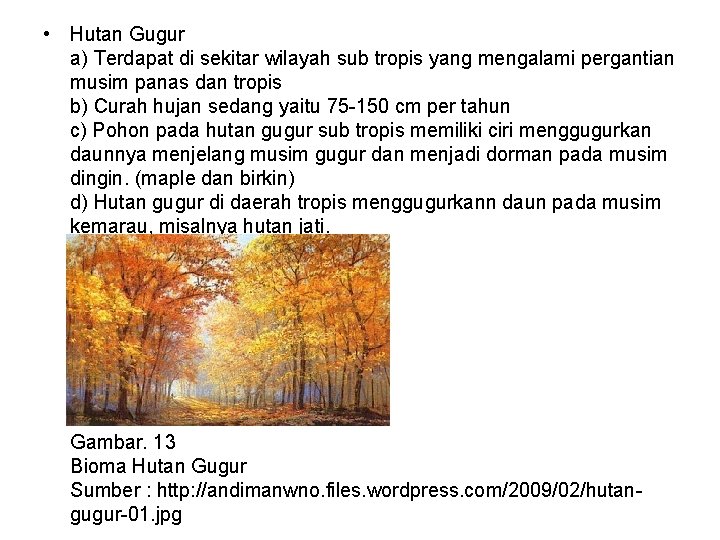  • Hutan Gugur a) Terdapat di sekitar wilayah sub tropis yang mengalami pergantian