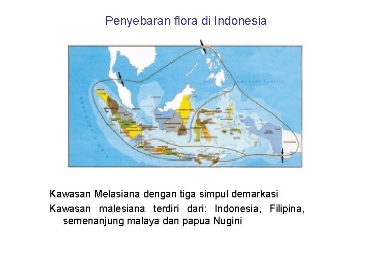 Penyebaran flora di Indonesia Kawasan Melasiana dengan tiga simpul demarkasi Kawasan malesiana terdiri dari: