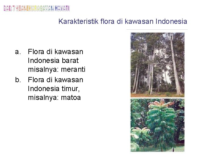 Karakteristik flora di kawasan Indonesia a. Flora di kawasan Indonesia barat misalnya: meranti b.