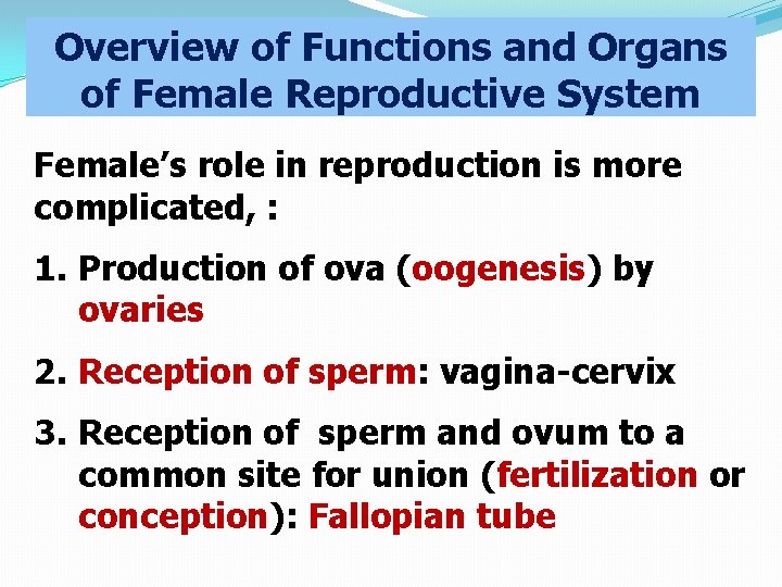 Overview of Functions and Organs of Female Reproductive System Female’s role in reproduction is
