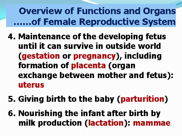 Overview of Functions and Organs ……of Female Reproductive System 4. Maintenance of the developing