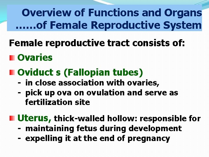 Overview of Functions and Organs ……of Female Reproductive System Female reproductive tract consists of: