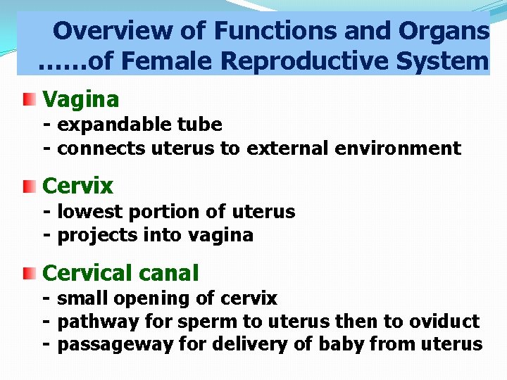 Overview of Functions and Organs ……of Female Reproductive System Vagina - expandable tube -