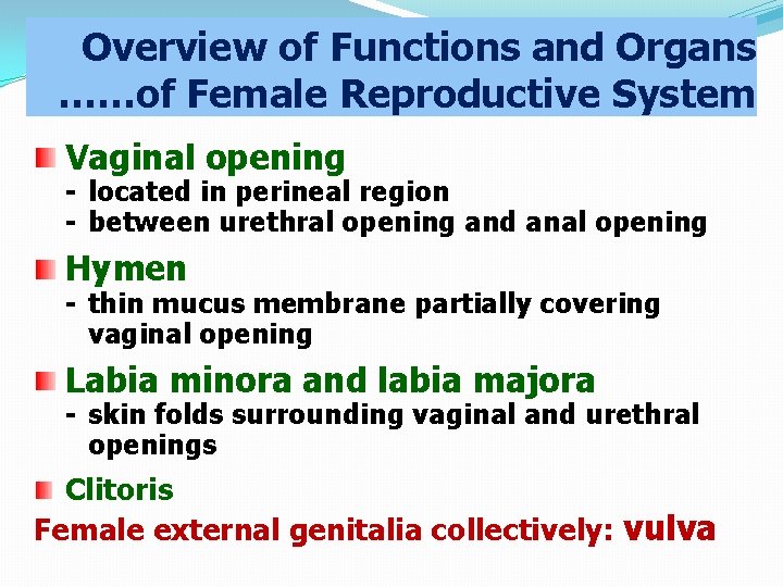 Overview of Functions and Organs ……of Female Reproductive System Vaginal opening - located in