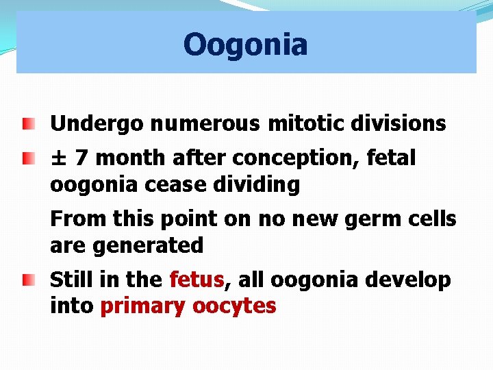 Oogonia Undergo numerous mitotic divisions ± 7 month after conception, fetal oogonia cease dividing