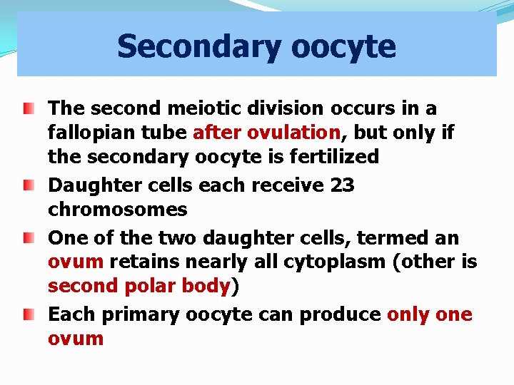 Secondary oocyte The second meiotic division occurs in a fallopian tube after ovulation, but