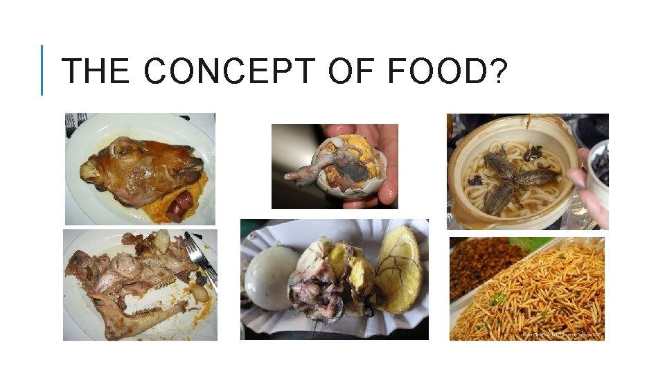 THE CONCEPT OF FOOD? 