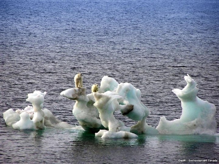 Crédit : Environnement Canada 