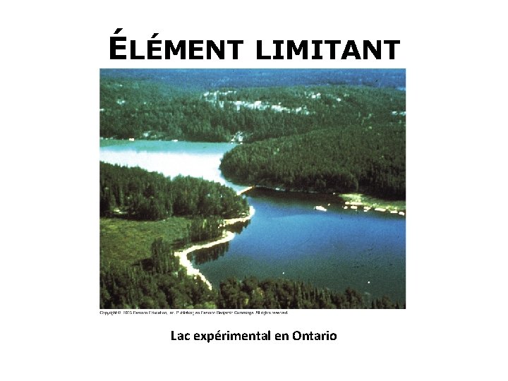 ÉLÉMENT LIMITANT Lac expérimental en Ontario 