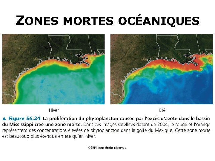 ZONES MORTES OCÉANIQUES 