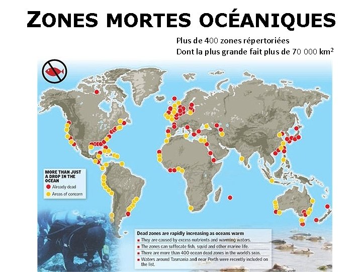 ZONES MORTES OCÉANIQUES Plus de 400 zones répertoriées Dont la plus grande fait plus