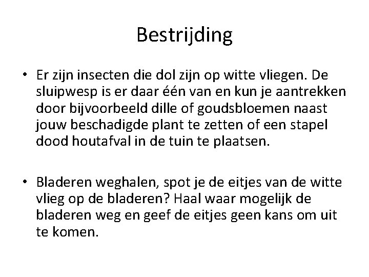 Bestrijding • Er zijn insecten die dol zijn op witte vliegen. De sluipwesp is