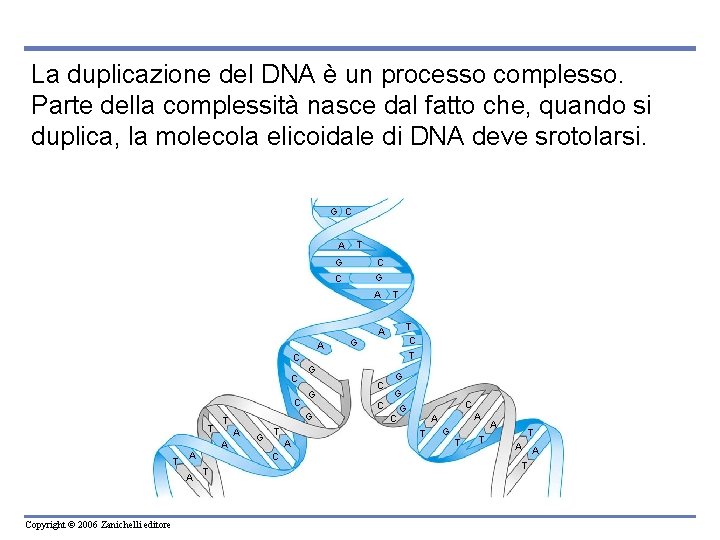 La biologia molecolare del gene Copyright 2006 Zanichelli