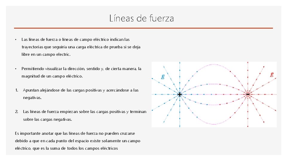 Líneas de fuerza • Las líneas de fuerza o líneas de campo eléctrico indican