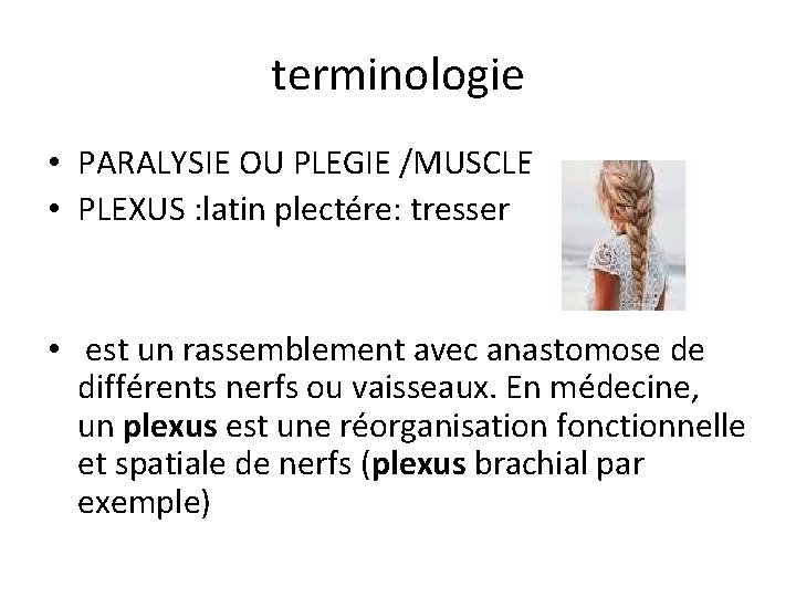 terminologie • PARALYSIE OU PLEGIE /MUSCLE • PLEXUS : latin plectére: tresser • est