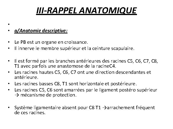 III-RAPPEL ANATOMIQUE • • a/Anatomie descriptive: • Le PB est un organe en croissance.