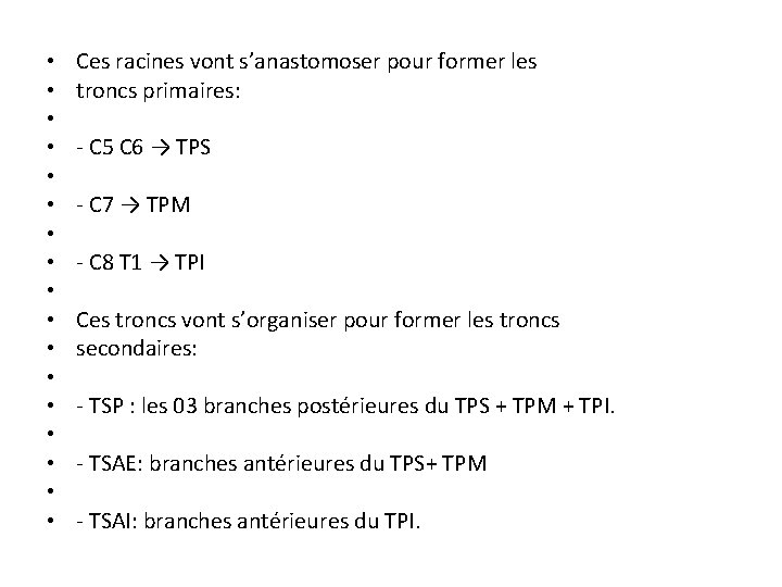  • • • • • Ces racines vont s’anastomoser pour former les troncs