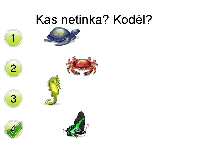 Kas netinka? Kodėl? 