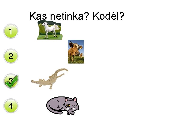 Kas netinka? Kodėl? 