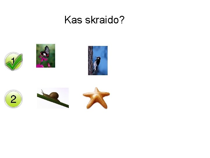 Kas skraido? 