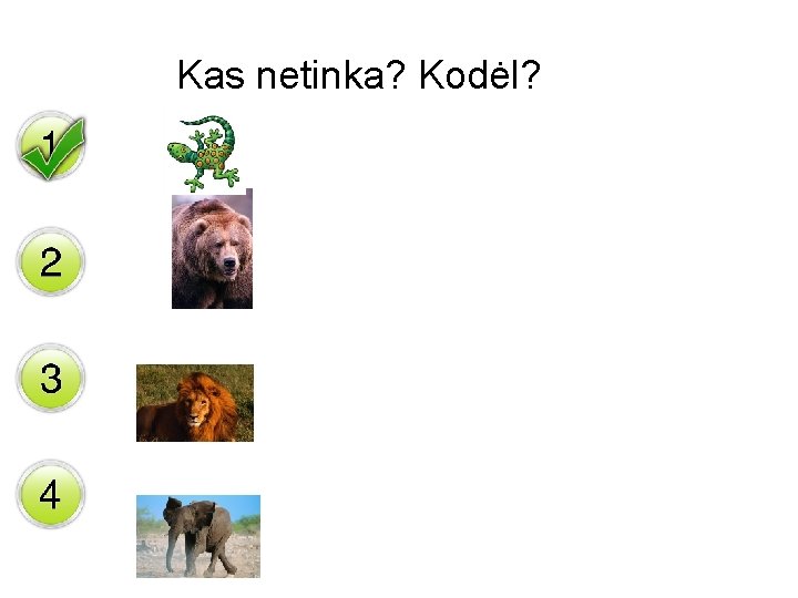 Kas netinka? Kodėl? 