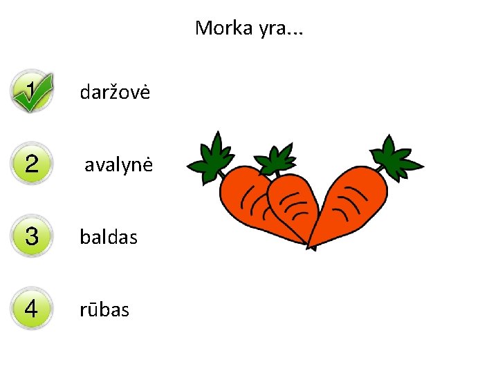 Morka yra. . . daržovė avalynė baldas rūbas 