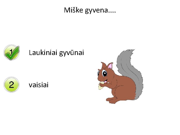 Miške gyvena. . Laukiniai gyvūnai vaisiai 