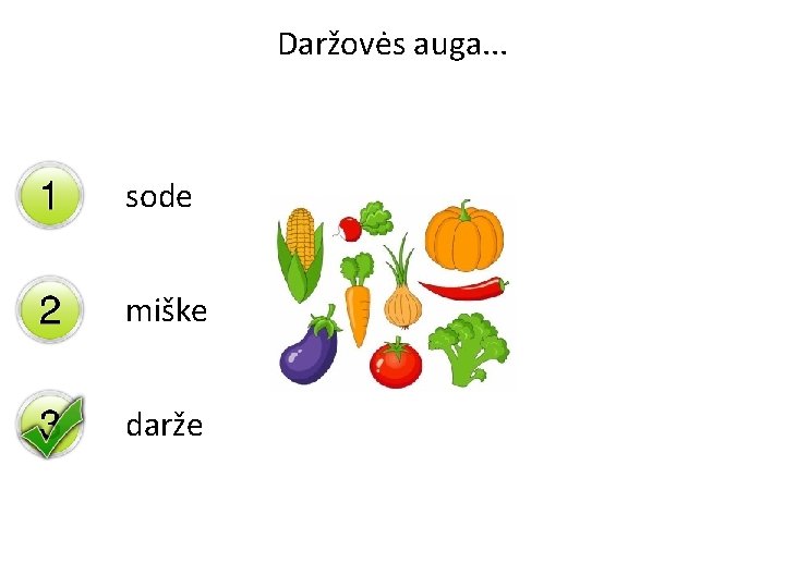 Daržovės auga. . . sode miške darže 