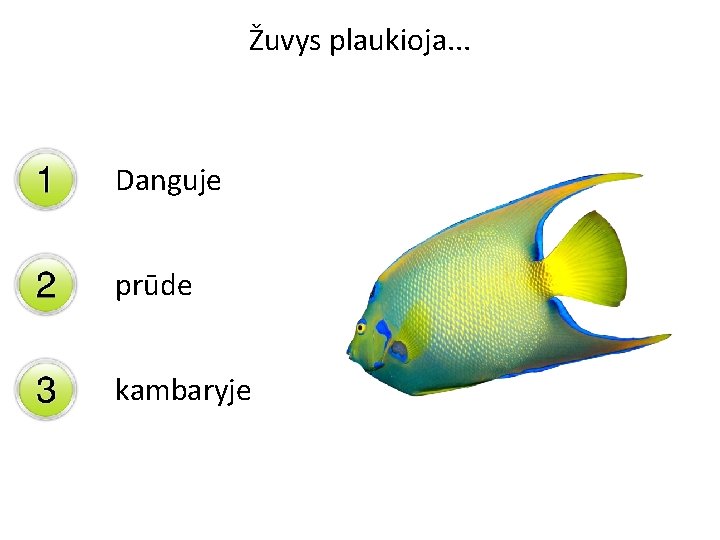 Žuvys plaukioja. . . Danguje prūde kambaryje 