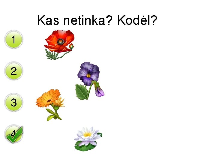 Kas netinka? Kodėl? 