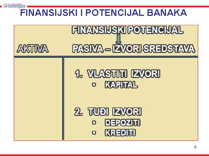 FINANSIJSKI I POTENCIJAL BANAKA 5 
