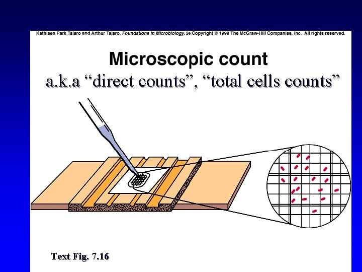 a. k. a “direct counts”, “total cells counts” Text Fig. 7. 16 