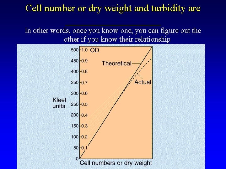 Cell number or dry weight and turbidity are __________ In other words, once you