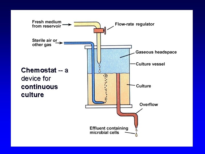 Chemostat -- a device for continuous culture 