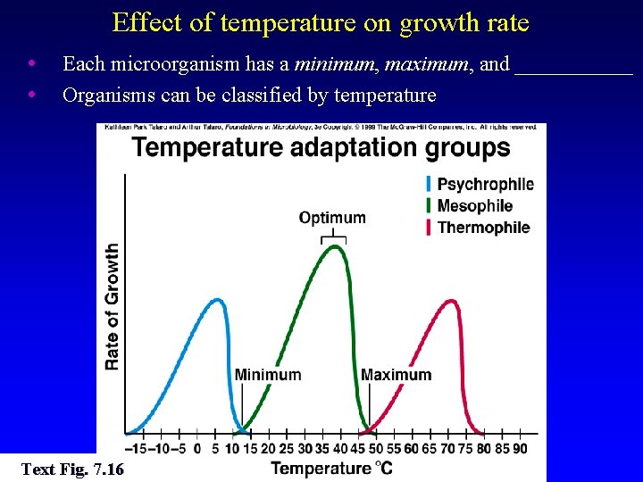 Effect of temperature on growth rate • • Each microorganism has a minimum, maximum,