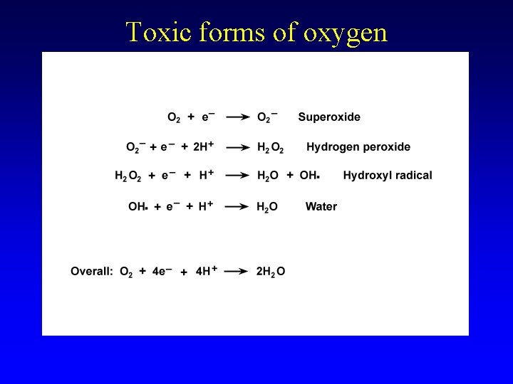 Toxic forms of oxygen 